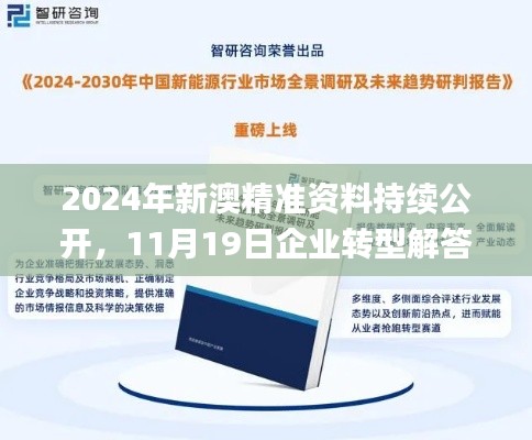 2024年新澳精准资料持续公开,11月19日企业转型解答方案发布_OOD2.80.45动画版