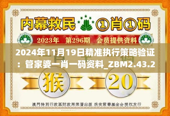2024年11月19日精准执行策略验证:管家婆一肖一码资料_ZBM2.43.25时尚版