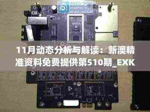 11月动态分析与解读：新澳精准资料免费提供第510期_EXK3.14.34策展版