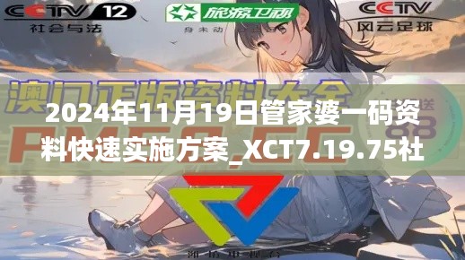 2024年11月19日管家婆一码资料快速实施方案_XCT7.19.75社区版