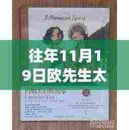 欧先生夫妇的奋斗历程,实权与成长的力量,赋予我们信心的启示
