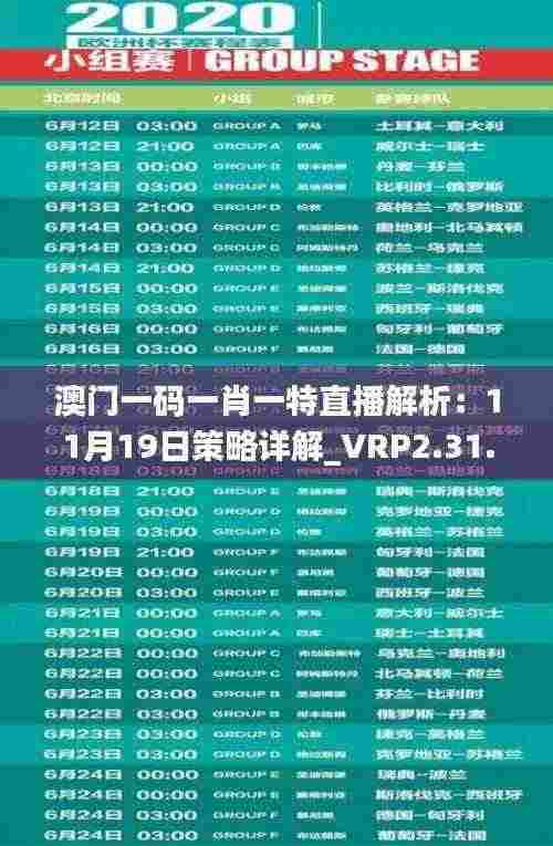 澳门一码一肖一特直播解析:11月19日策略详解_VRP2.31.27版