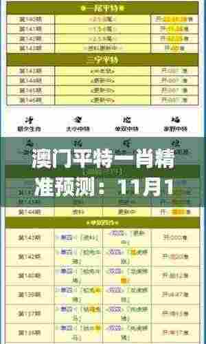 澳门平特一肖精准预测:11月19日重要解读与实施措施_NVJ2.19.82公积板