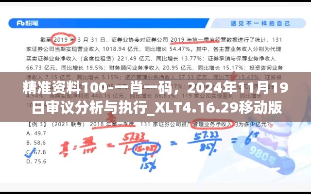精准资料100-一肖一码,2024年11月19日审议分析与执行_XLT4.16.29移动版