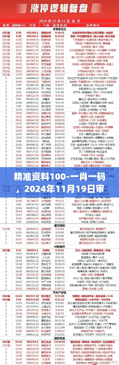 精准资料100-一肖一码,2024年11月19日审议分析与执行_XLT4.16.29移动版