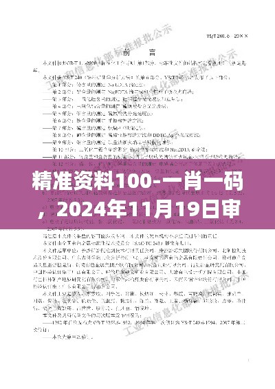 精准资料100-一肖一码,2024年11月19日审议分析与执行_XLT4.16.29移动版