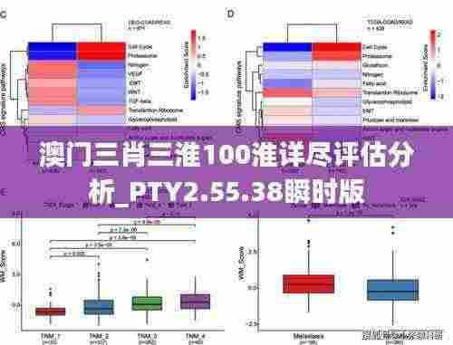 澳门三肖三淮100淮详尽评估分析_PTY2.55.38瞬时版