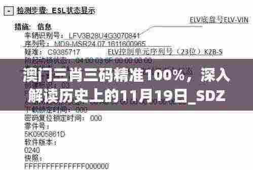 澳门三肖三码精准100%,深入解读历史上的11月19日_SDZ4.78.64文化专版