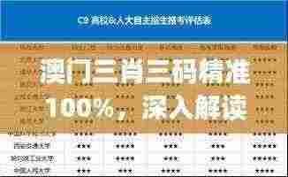 澳门三肖三码精准100%，深入解读历史上的11月19日_SDZ4.78.64文化专版