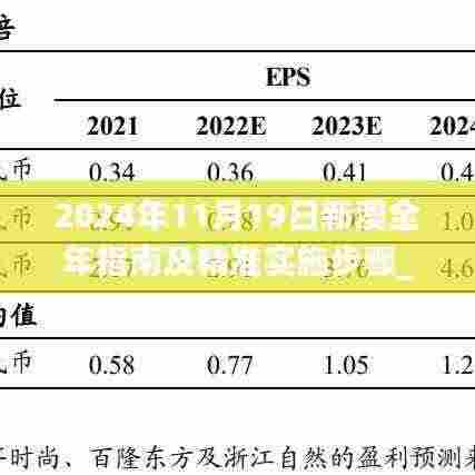 2024年11月19日新澳全年指南及精准实施步骤_WAN2.27.31科技版