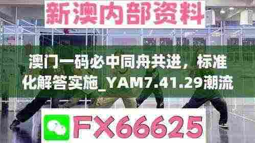 澳门一码必中同舟共进,标准化解答实施_YAM7.41.29潮流版