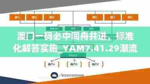 澳门一码必中同舟共进,标准化解答实施_YAM7.41.29潮流版