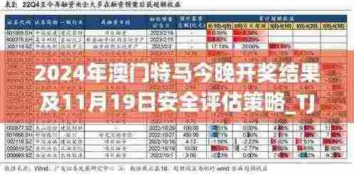 2024年澳门特马今晚开奖结果及11月19日安全评估策略_TJB9.12.46精选版