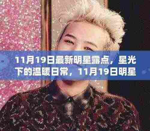 11月19日明星最新动态,星光下的日常与朋友的陪伴时光