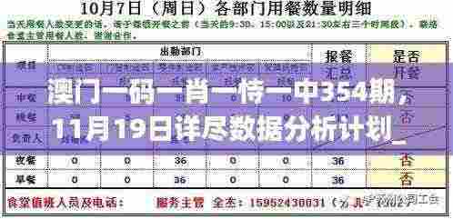 澳门一码一肖一恃一中354期,11月19日详尽数据分析计划_IWF7.68.97原版