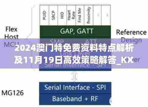 2024澳门特免费资料特点解析及11月19日高效策略解答_KXA5.69.30投影版