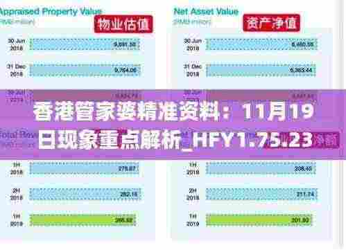 香港管家婆精准资料：11月19日现象重点解析_HFY1.75.23自由版