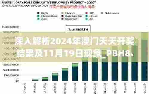 深入解析2024年澳门天天开奖结果及11月19日现象_PBH8.26.36专业版