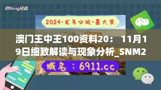 澳门王中王100资料20: 11月19日细致解读与现象分析_SNM2.71.68瞬间版