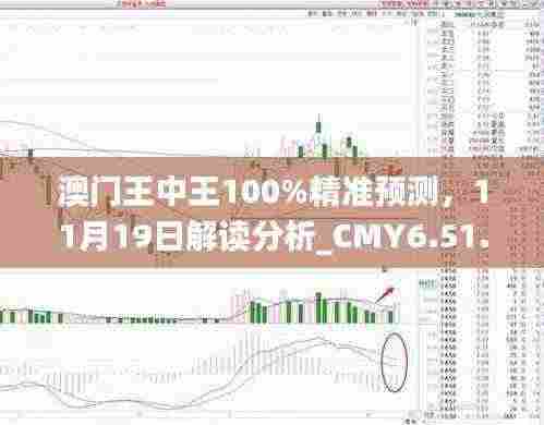 澳门王中王100%精准预测，11月19日解读分析_CMY6.51.71智能版