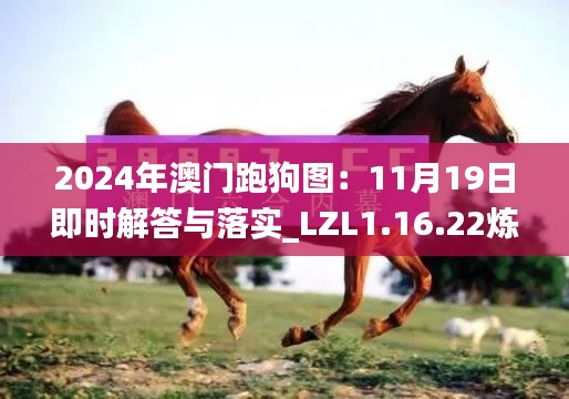 2024年澳门跑狗图:11月19日即时解答与落实_LZL1.16.22炼髓境