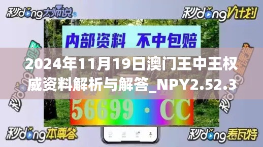 2024年11月19日澳门王中王权威资料解析与解答_NPY2.52.32动感版