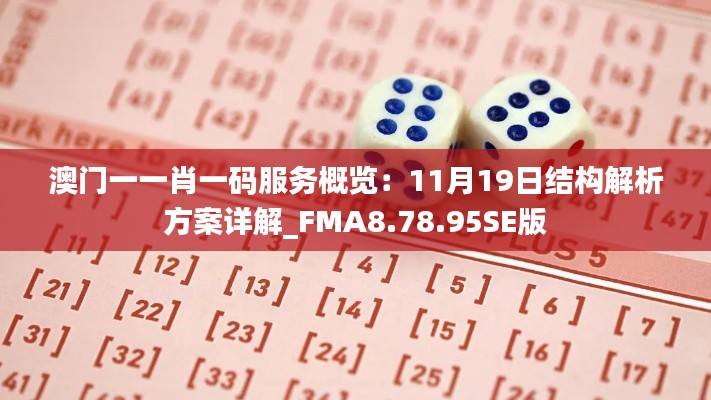澳门一一肖一码服务概览:11月19日结构解析方案详解_FMA8.78.95SE版
