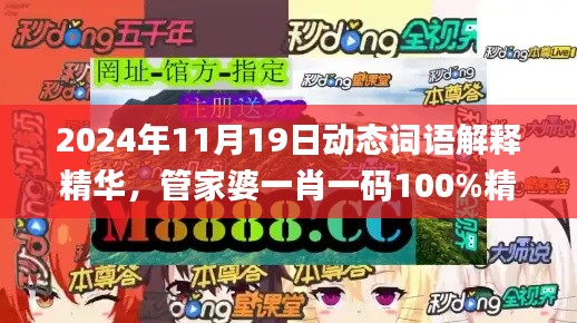 2024年11月19日动态词语解释精华,管家婆一肖一码100%精准资讯_BQV9.47.65电影版