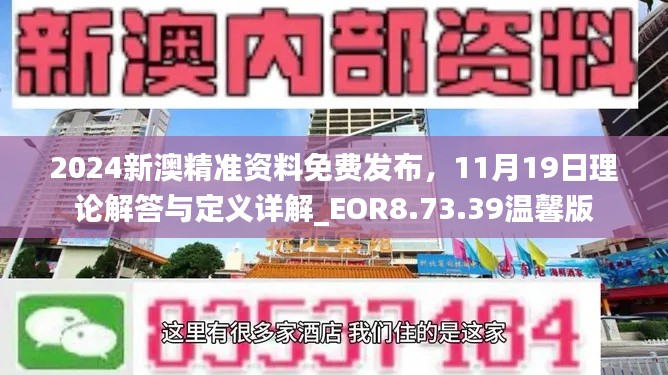 2024新澳精准资料免费发布,11月19日理论解答与定义详解_EOR8.73.39温馨版