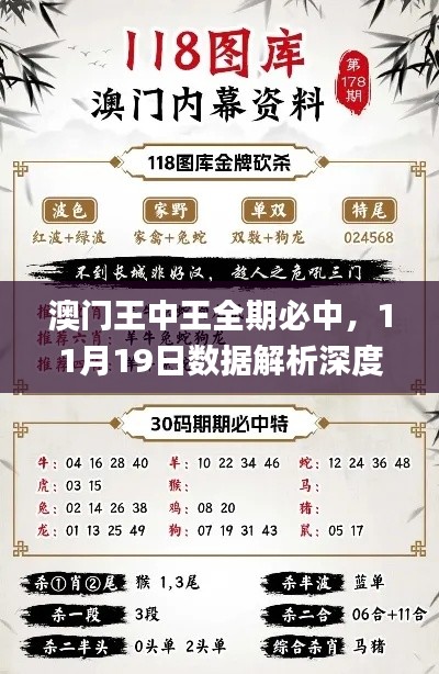 澳门王中王全期必中,11月19日数据解析深度设计_SHJ9.11.47学院版