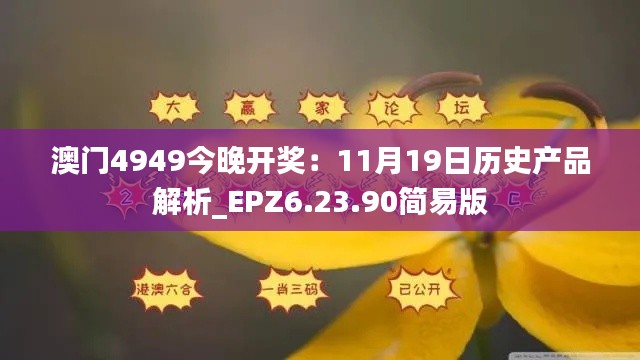 澳门4949今晚开奖:11月19日历史产品解析_EPZ6.23.90简易版