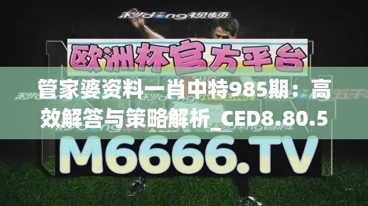管家婆资料一肖中特985期:高效解答与策略解析_CED8.80.59高清版