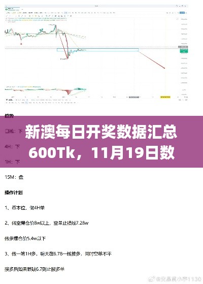 新澳每日开奖数据汇总600Tk,11月19日数据支持策略设计_ISM1.69.88动态图版