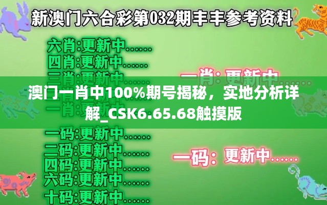 澳门一肖中100%期号揭秘,实地分析详解_CSK6.65.68触摸版