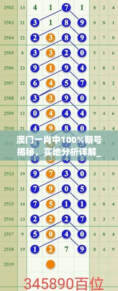 澳门一肖中100%期号揭秘,实地分析详解_CSK6.65.68触摸版