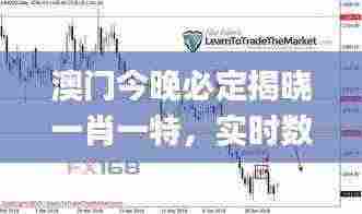 澳门今晚必定揭晓一肖一特,实时数据分析解读_QCS2.57.56探索版