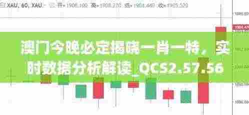 澳门今晚必定揭晓一肖一特,实时数据分析解读_QCS2.57.56探索版