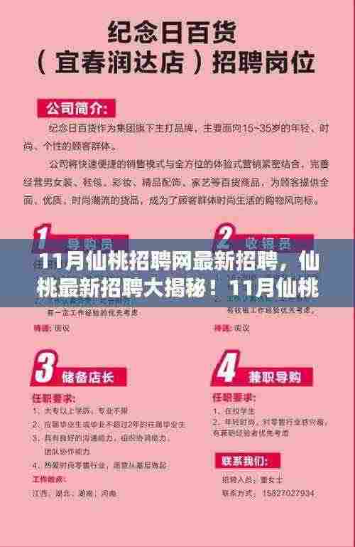 11月仙桃招聘网最新招聘火热出炉,揭秘热门职位,一网打尽仙桃最新招聘信息