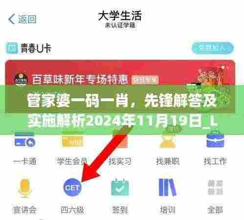 管家婆一码一肖,先锋解答及实施解析2024年11月19日_LUJ2.15.60调整版