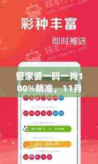 管家婆一码一肖100%精准,11月全面落实解答_ELB3.27.28精选版
