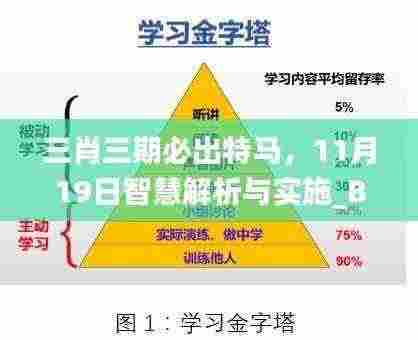 三肖三期必出特马,11月19日智慧解析与实施_BOL8.70.69展示版