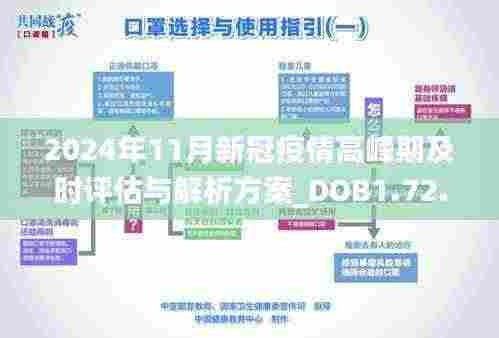 2024年11月新冠疫情高峰期及时评估与解析方案_DOB1.72.87潮流版