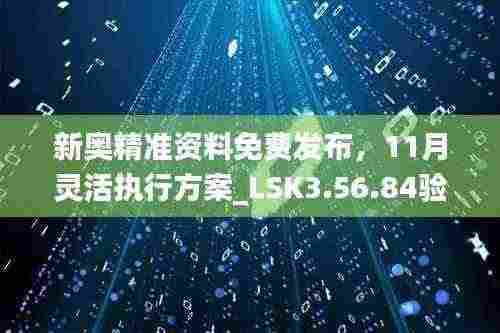 新奥精准资料免费发布,11月灵活执行方案_LSK3.56.84验证版