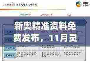 新奥精准资料免费发布,11月灵活执行方案_LSK3.56.84验证版