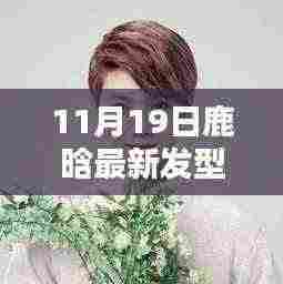 鹿晗最新发型揭秘,11月19日时尚发型DIY教程与剪发技巧