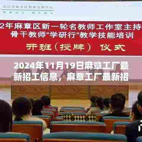 麻章工厂最新招工信息申请指南,初学者与进阶用户适用的招工信息汇总(2024年11月19日)