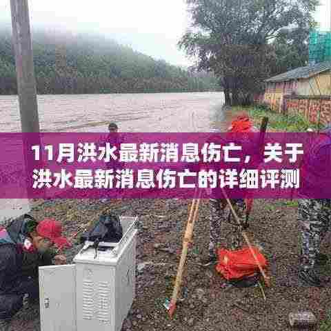 11月洪水最新伤亡消息详解,评估与介绍