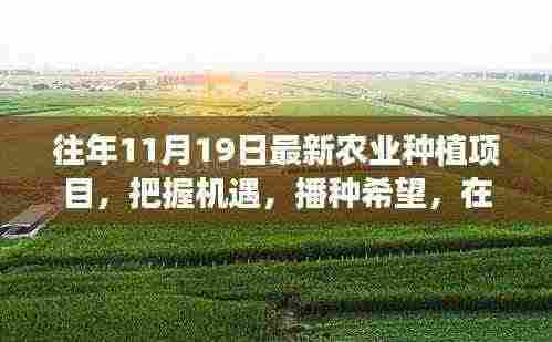 往年11月19日农业种植新篇章，把握机遇，播种希望，收获自信与成就感