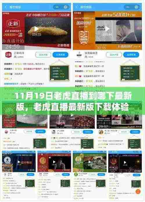 老虎直播最新版下载指南,特性、对比与用户体验解析