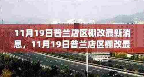 普兰店区棚改最新进展顺利，新动态一览，11月19日最新消息发布